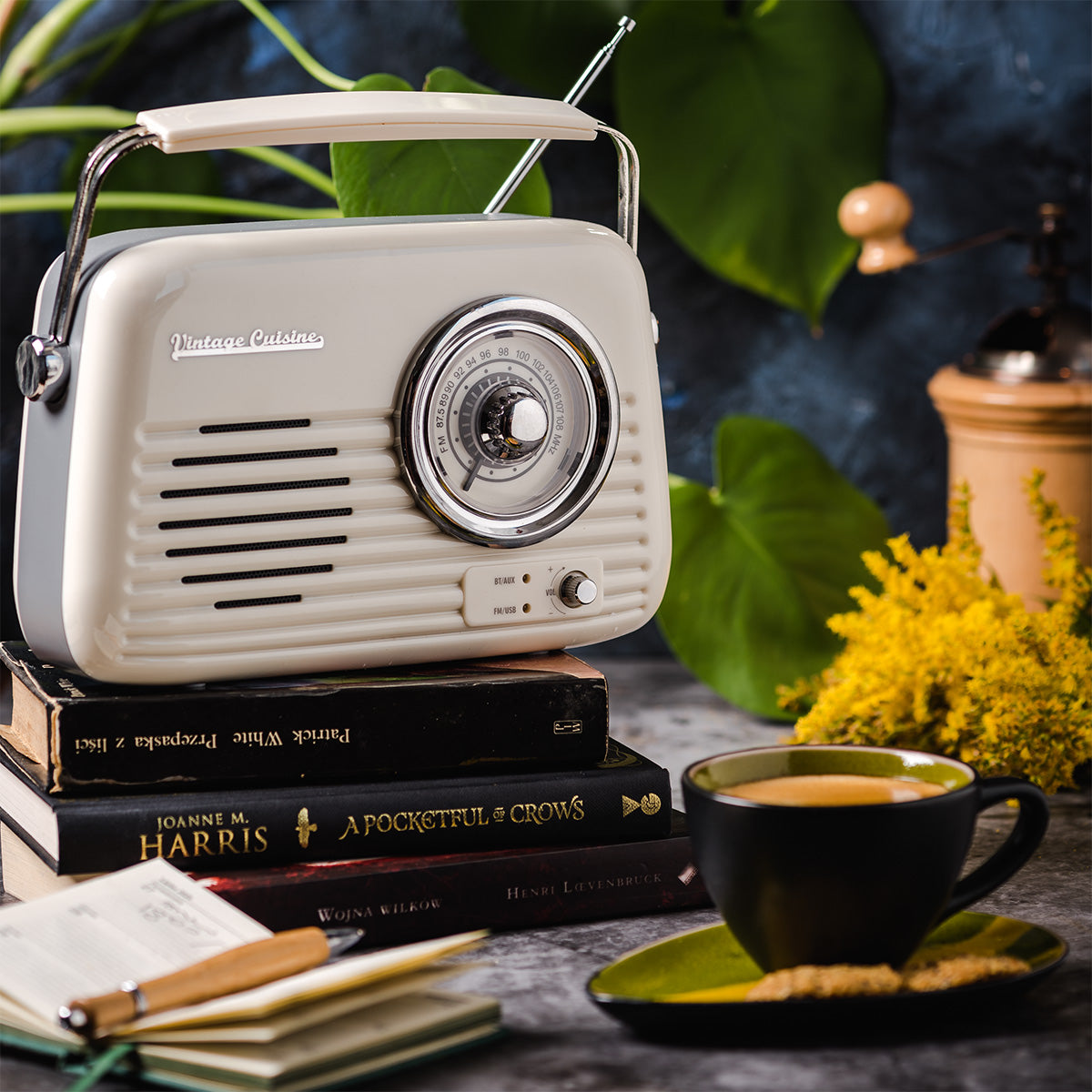 Radio retrò cromata con altoparlante Bluetooth Vintage Cuisine